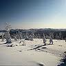 Siberian Labor Camp