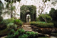 Household Garden