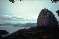 Rock