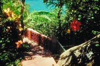 Garden Path to Sea