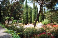 Beautiful Garden