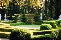 Green Garden in Sunshine