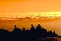 Orange Sunset