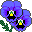 blue flower