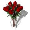 Bunch of Roses