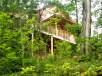Hill Billy House