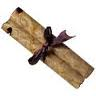 Parchment from animal skin