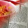 The Word of God