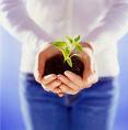 Girl with Plant in Hands