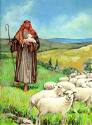 Shepherd of the Sheep