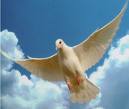 Holy Spirit Dove