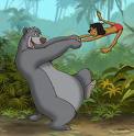 Jungle Book Flashcard