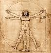 Vitruvian Man