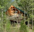 Log Cabin in Woods