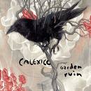 Calexico Raven