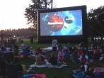 Outdoor Movie Showing