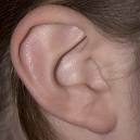 Listening Ear