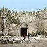 Jerusalem's Gates