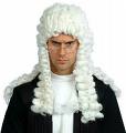 Court Judge